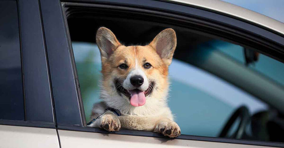 What does it mean to have a clean driving record?